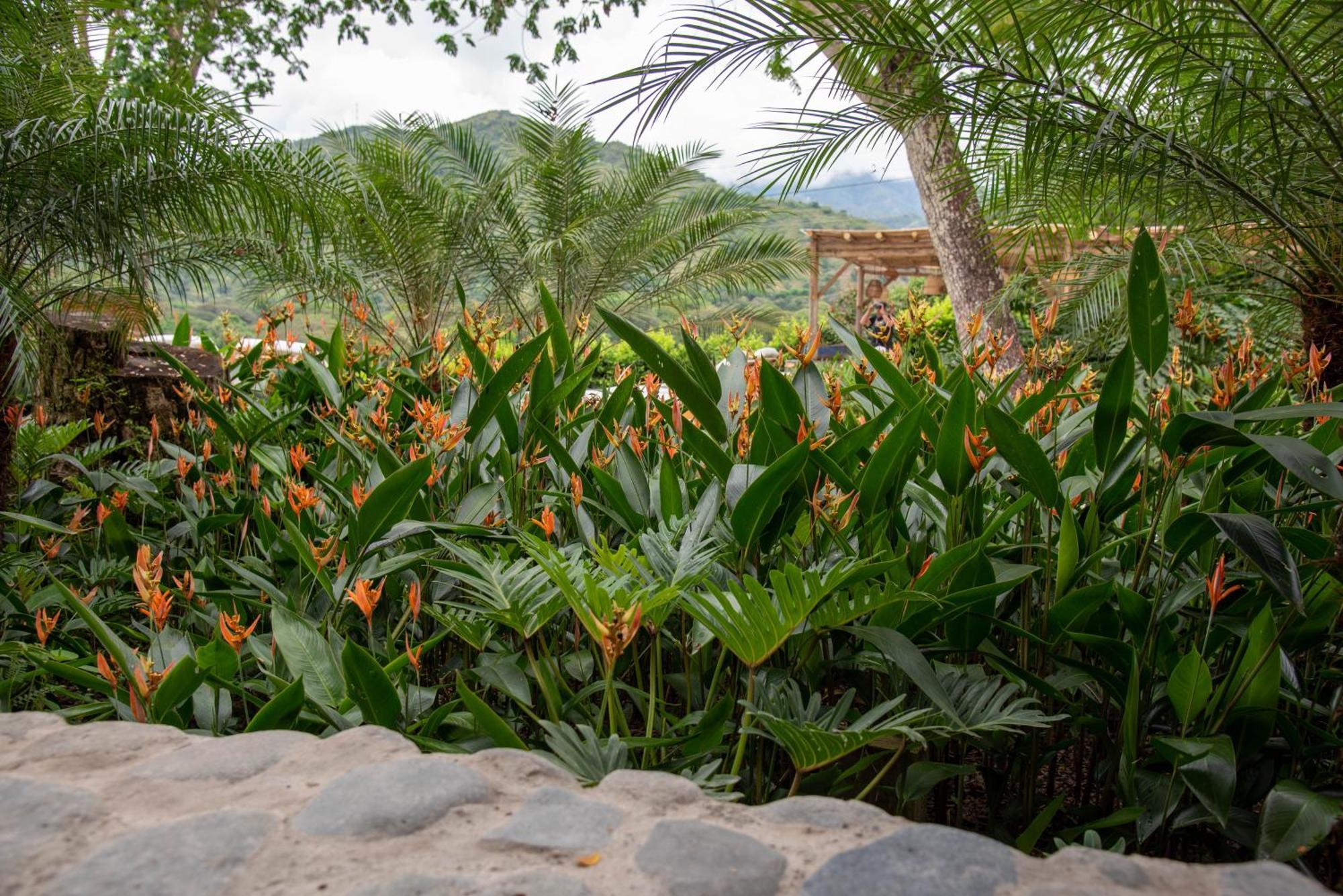 Nativa Refugio Escondido Santa Fe de Antioquia Exterior foto